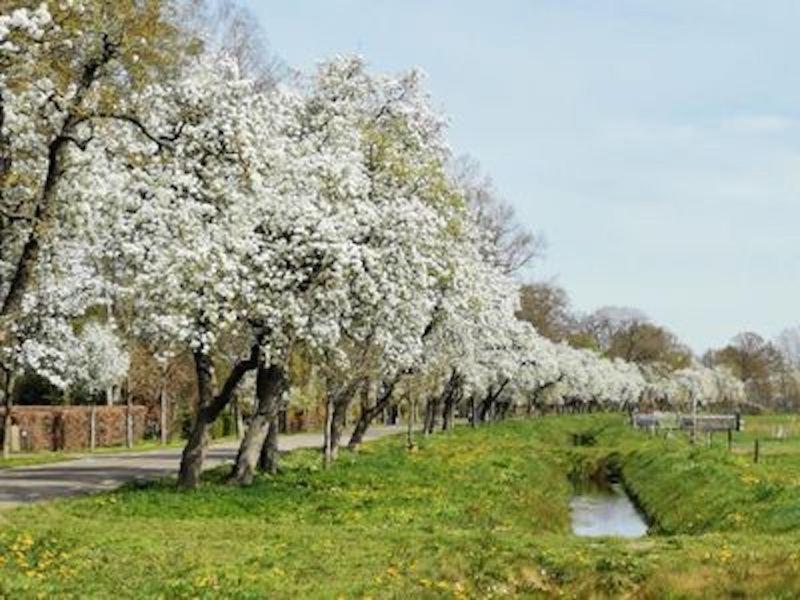 Silo 161 Διαμέρισμα Ruinerwold Εξωτερικό φωτογραφία